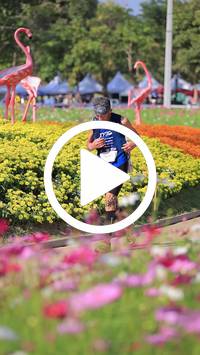 BIB:  <button type="button" onclick="openModal(27588402)" class="btn btn-primary btn-sm float-right" data-toggle="modal" data-target=".modal-high-quality">
                <i class="fa fa-download"></i> Download
                </button>